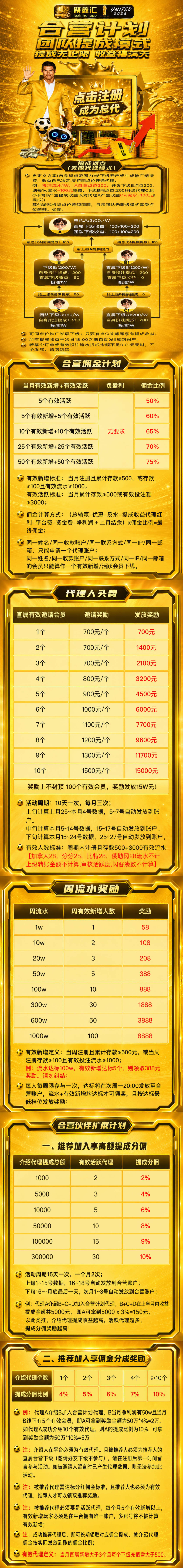 内容展示